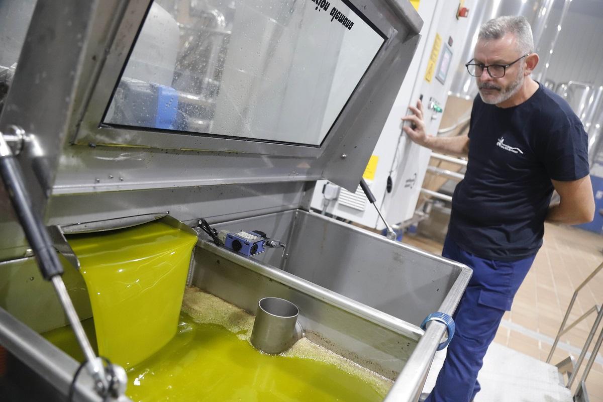 Extracción de aceite de oliva en una almazara cordobesa. | A.J. GONZÁLEZ
