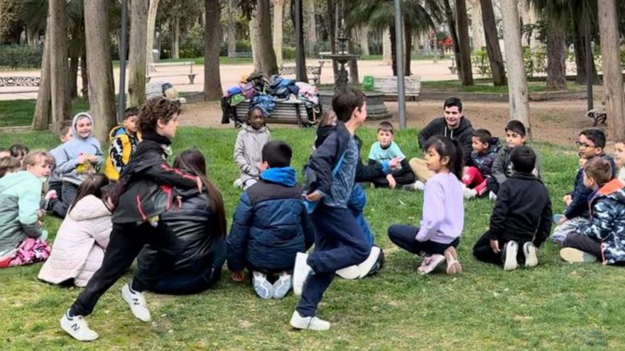 Más de 3.000 escolares han participado en la iniciativa. | SERVICIO ESPECIAL