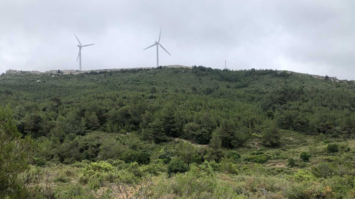 Aspecto actual de Tivissa (Ribera d'Ebre), más verde que en veranos anteriores.