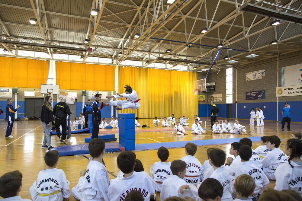 Campionat de Salts de taekwondo a l'Escala