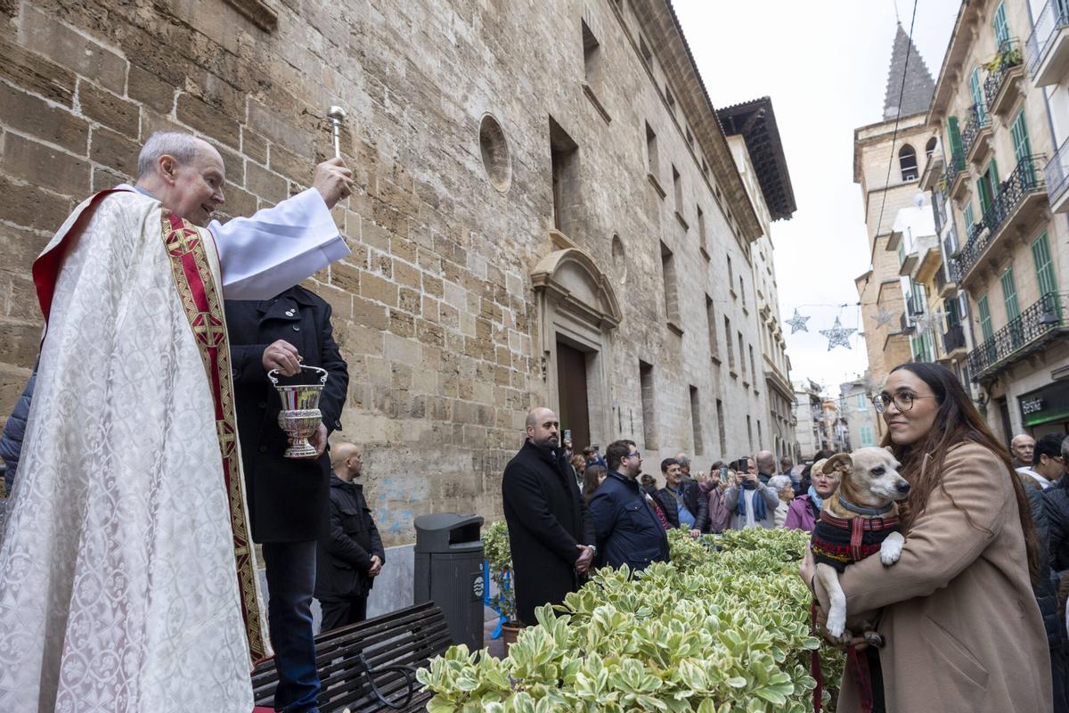 PALMA. BENEIDES DE PALMA 2026.