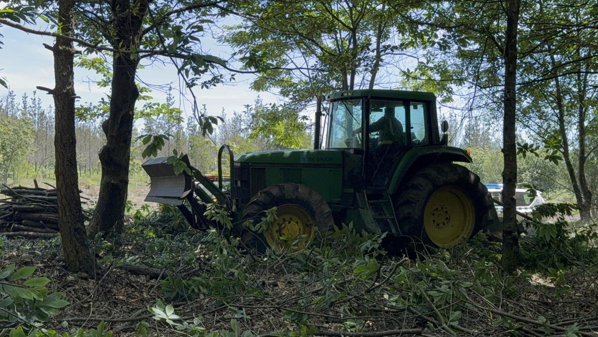 Un tractor realiza trabajos de desbroce en el monte