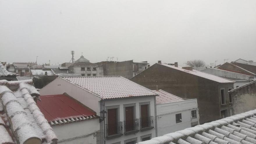 La nieve llega a Los Pedroches