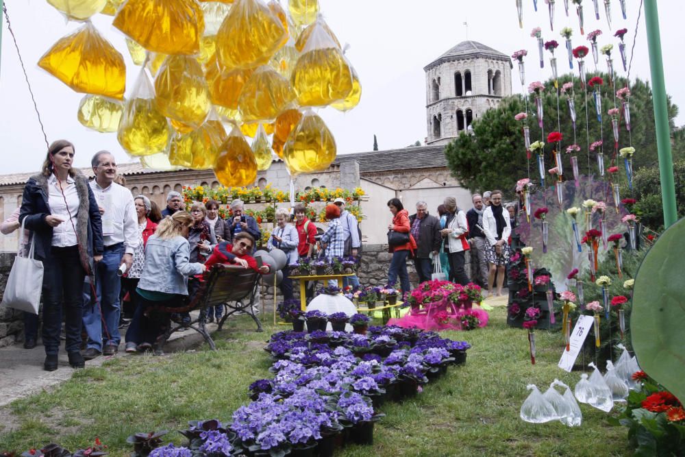 Girona floreix amb «Temps de Flors»