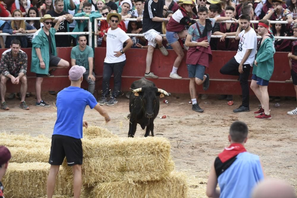 Vaquetes de Santpedor 2018