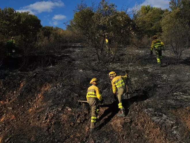 GALERÍA | Incendio en el entorno de la Fuente de la Salud de Zamora