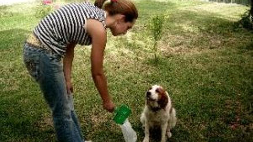 Adiós a los excrementos caninos