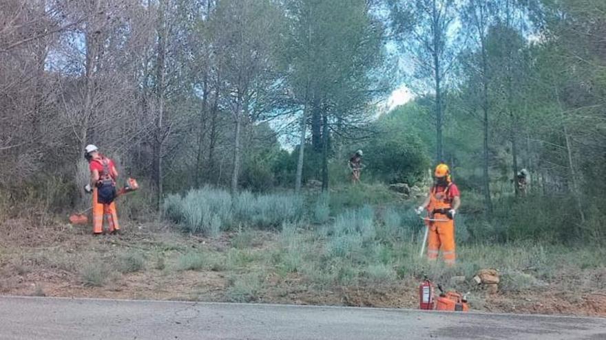 Buena parte de las contrataciones han sido para trabajos de prevención de incendios forestales.