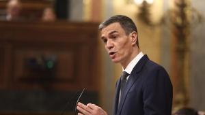 El presidente del Gobierno, Pedro Sánchez, en una sesión de control al Gobierno, en el Congreso de los Diputados, a 11 de febrero de 2026, en Madrid (España).