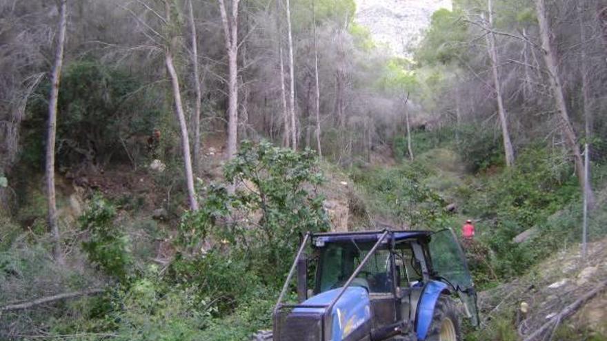 Altea inicia el plan para prevenir incendios forestales junto a urbanizaciones