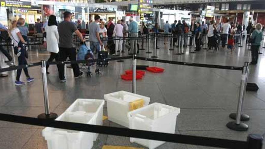 La imagen de la nueva terminal T3 del Aeropuerto de Málaga llena de cubos para achicar las goteras que cayeron durante todo el día de ayer.