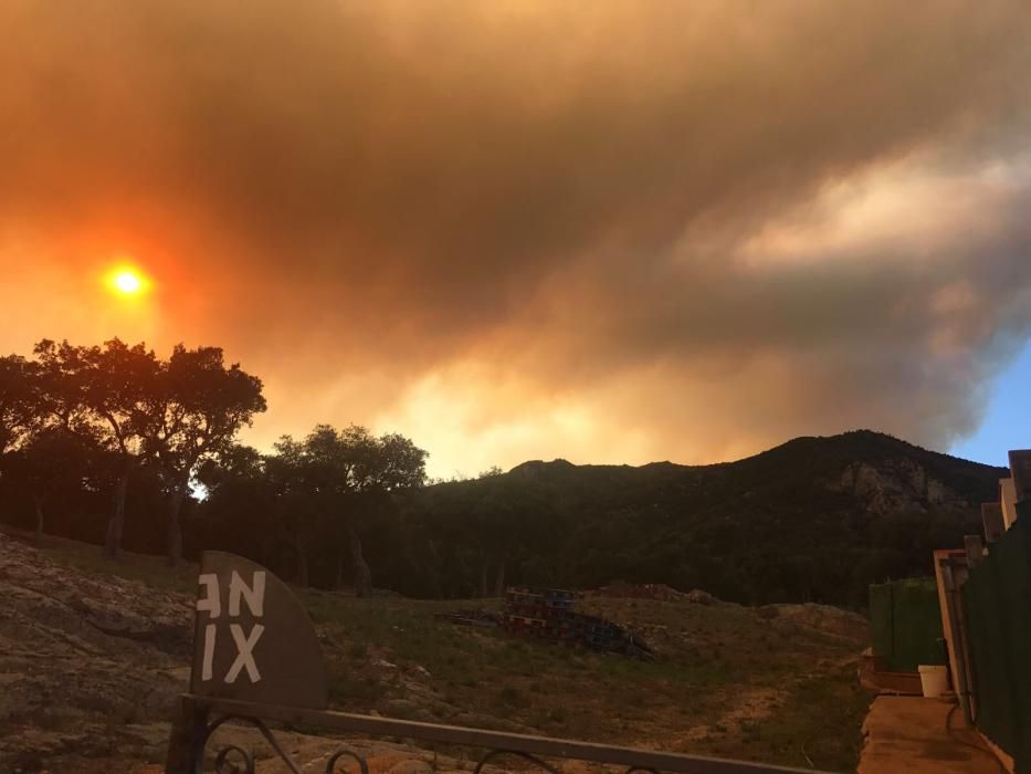 L'incendi al Rosselló avança cap a l'Empordà