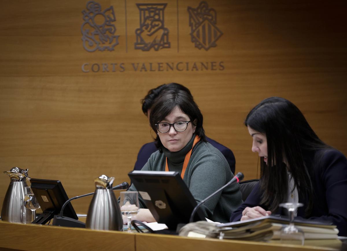 Alba Bodelón, presidenta de la Asociación Vecinos Ecos del Agua de Benetússer, este lunes en las Corts.