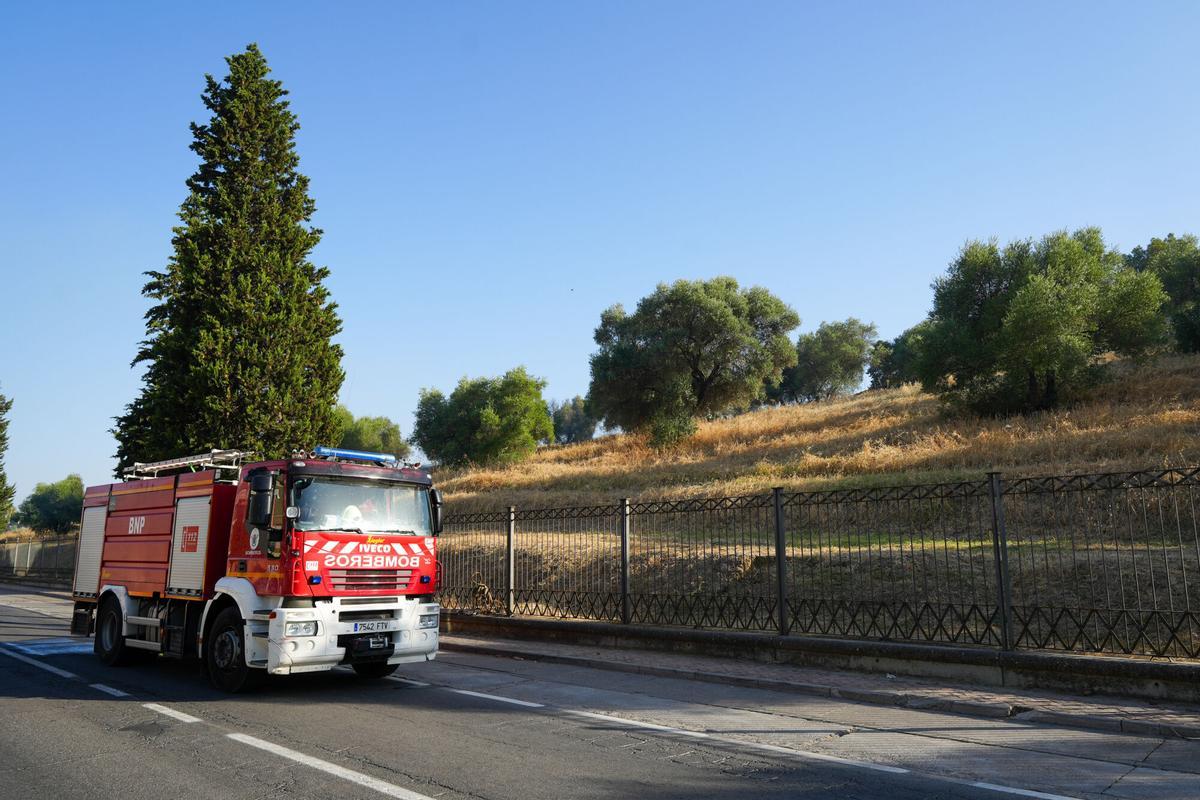 Bomberos trabajan en el Conjunto Arqueológico de Itálica para sofocar las llamas. A 8 de agosto de 2025 en Santiponce, Sevilla (Andalucía, España). El Consorcio provincial de Bomberos trabaja en un incendio declarado en el interior del recinto de Itálica