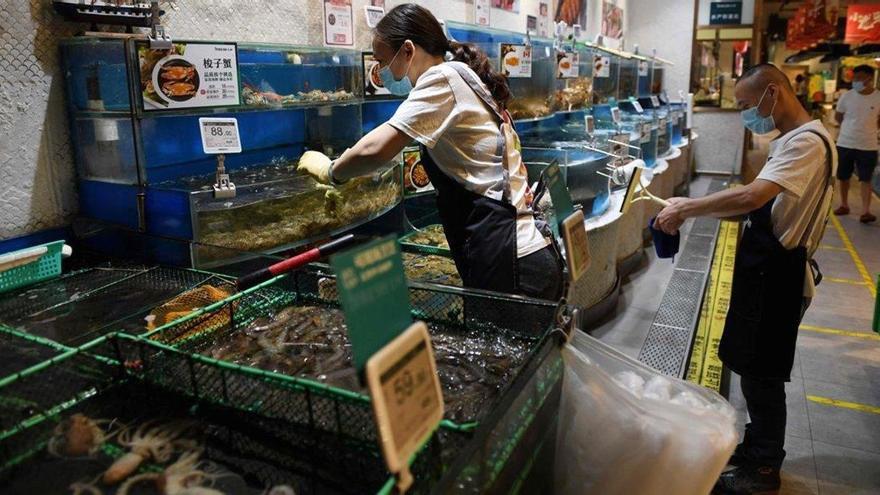 China paraliza las importaciones de salmón europeo
