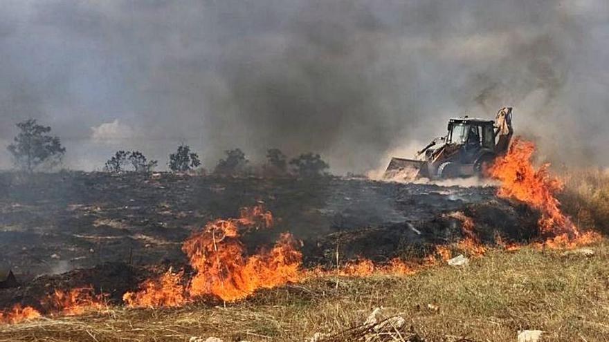 Abren una investigación por la oleada de incendios intencionados en Pinoso