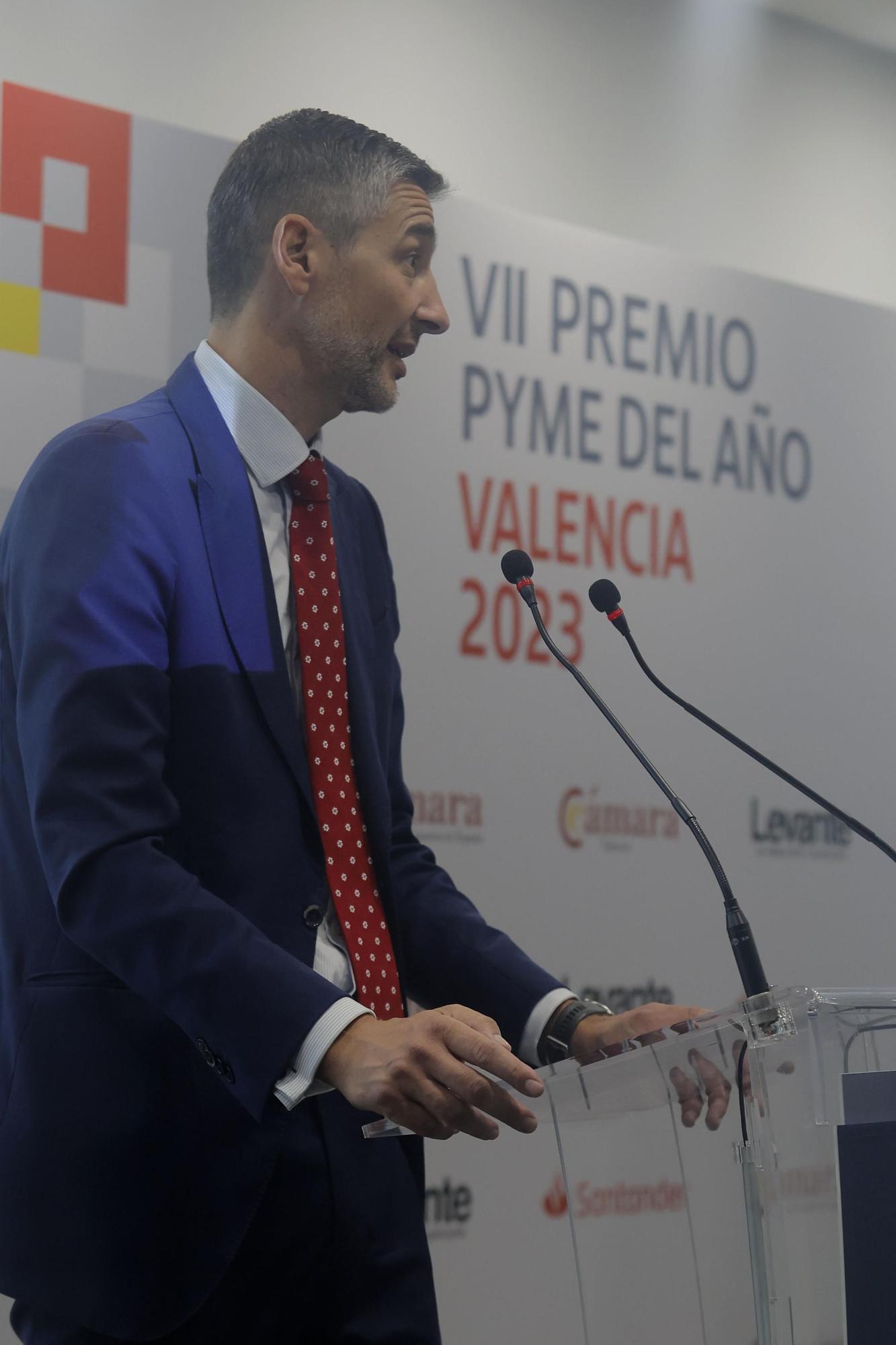 Entrega VII Premio Pyme del año