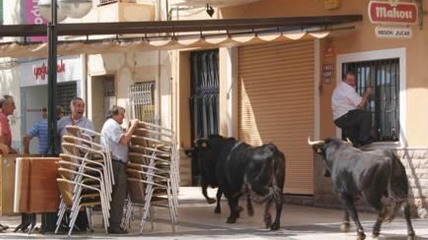 la tortilla monumental fue el acto más multitudinario de la jornada.Se cocinó y se repartió en el recinto ferial para 1.500 personas f a. torregrosa Parte de las reses del encierro se dieron la vuelta en el recorrido sin provocar accidentes f a. torregrosa