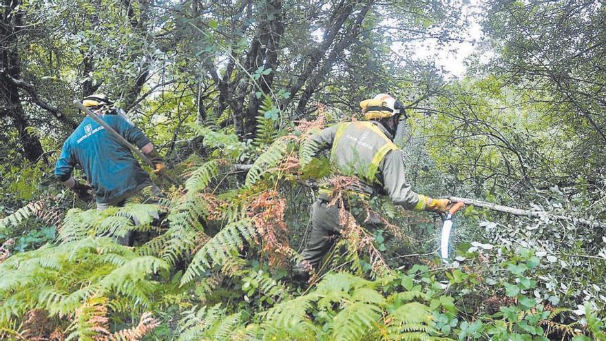 Una brigada de prevención de incendios desbrozando una pista.