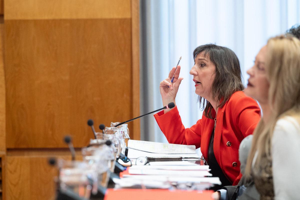 Lola Ranera interviene en el último pleno del Ayuntamiento de Zaragoza, con Ros Cihuelo en primer plano.