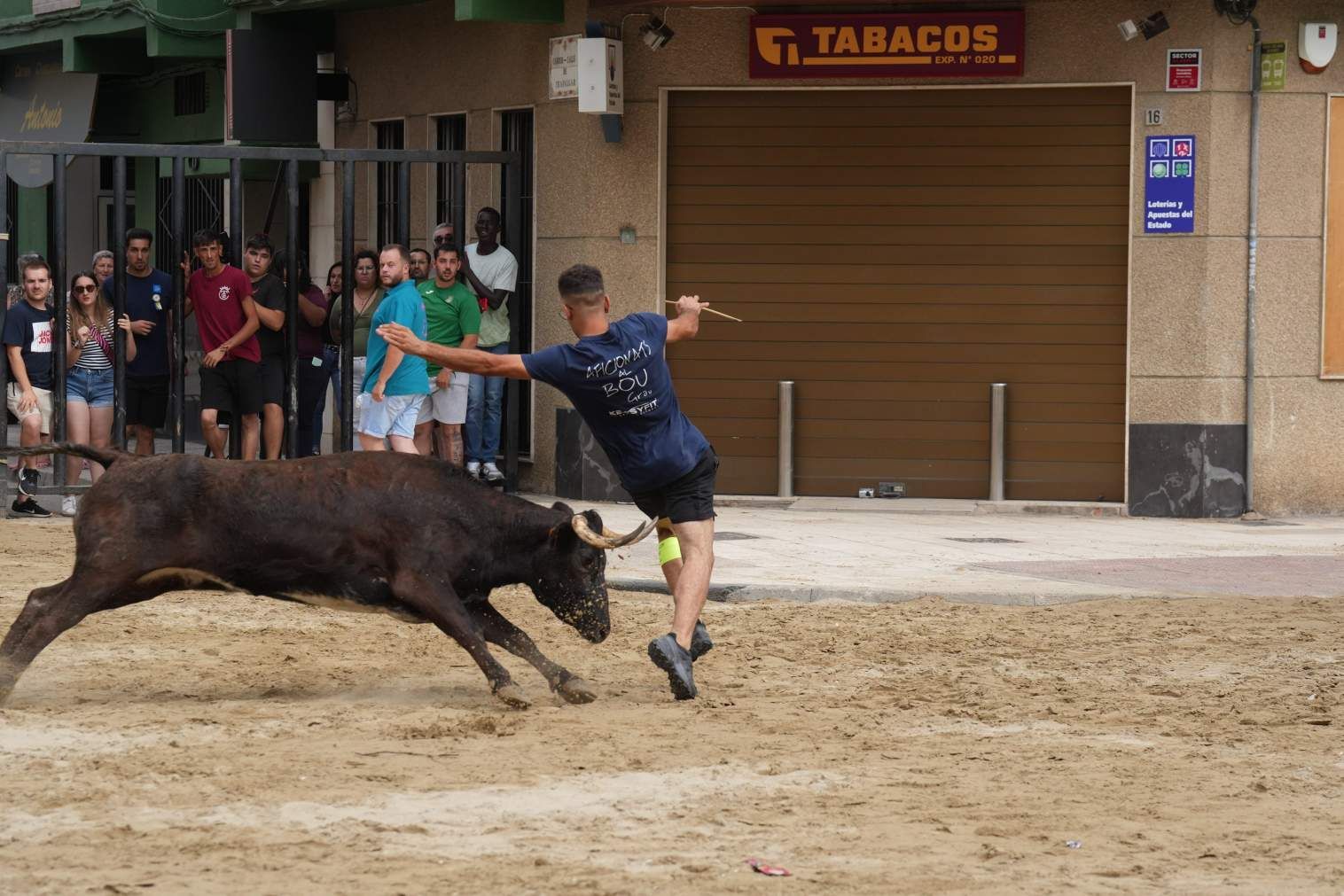 El Grau da inicio a las fiestas de Sant Pere con pólvora, bous y música