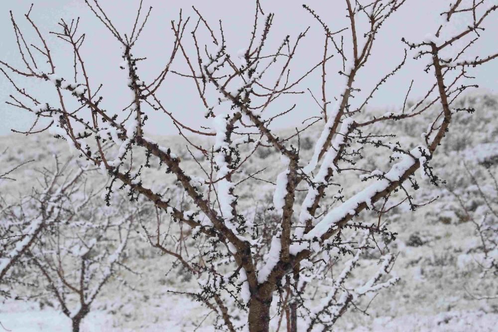 Nieve en Coy, Lorca