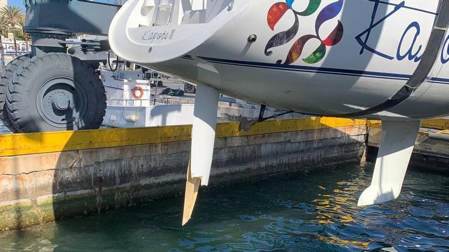 Nuevo ataque de orcas a una embarcación de la Copa del Rey de Vela