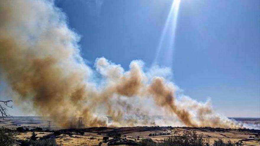 Un incendio forestal ha mantenido cortada la N-521 debido al humo