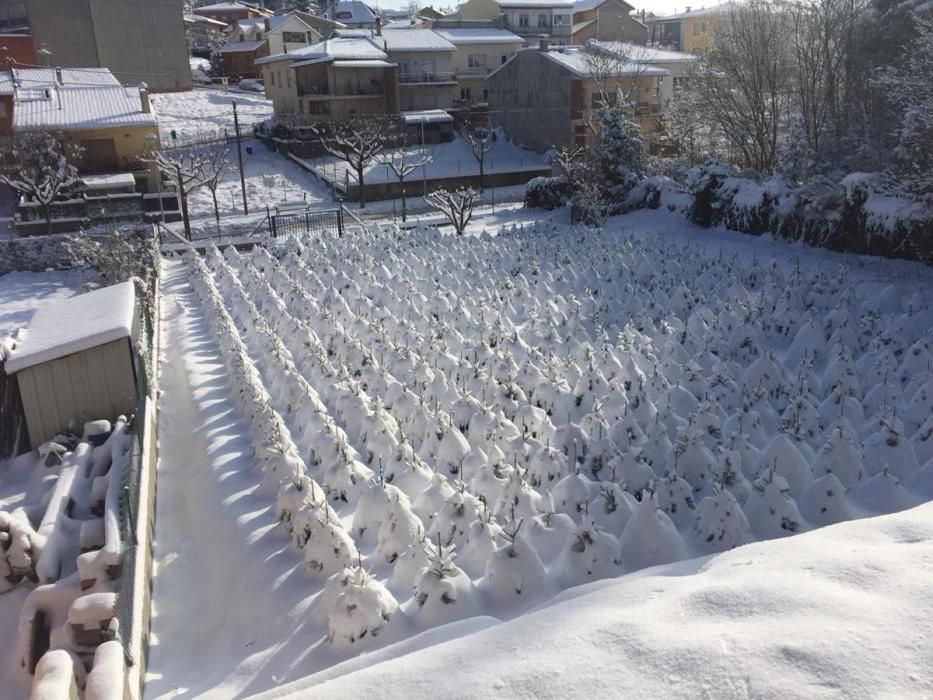 Imatges de la nevada a Sant Hilari Sacalm, el dimarts 27 de febrer