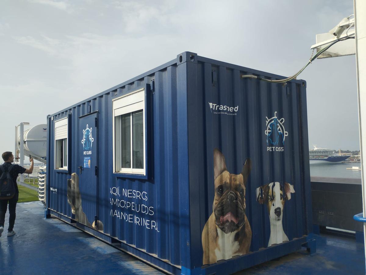La naviera ha transportado más de 31.000 mascotas el año pasado.
