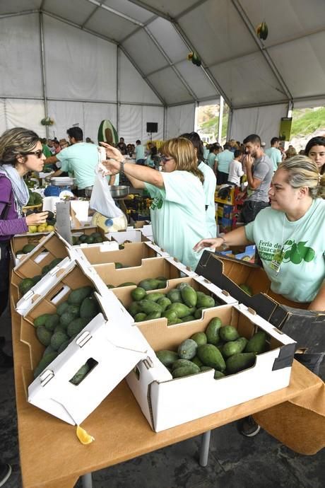 III FERIA DEL AGUACATE