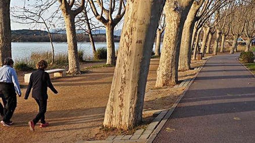 Un dels trams del carril bici que es vol reasfaltar.