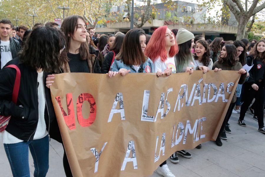 Manifestación contra la LOMCE en Zamora