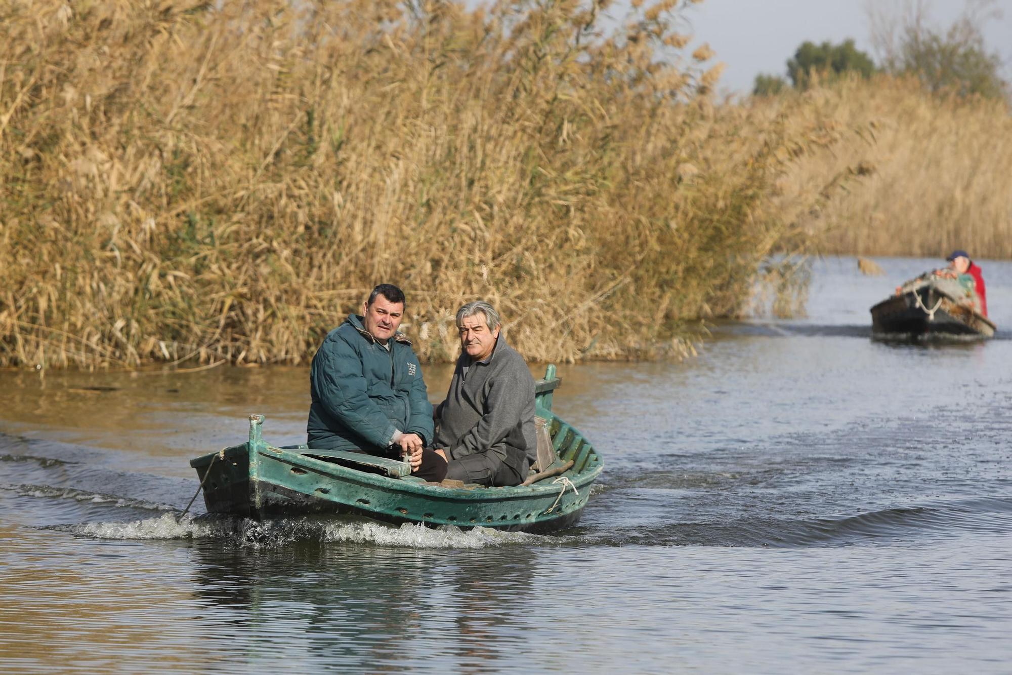 Las mejores imágenes de l'Albufera en el Día Mundial de los Humedales