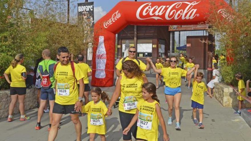 Una &#039;manada amarilla&#039; recorre el Bioparc en la 4ª Carrera en Manada