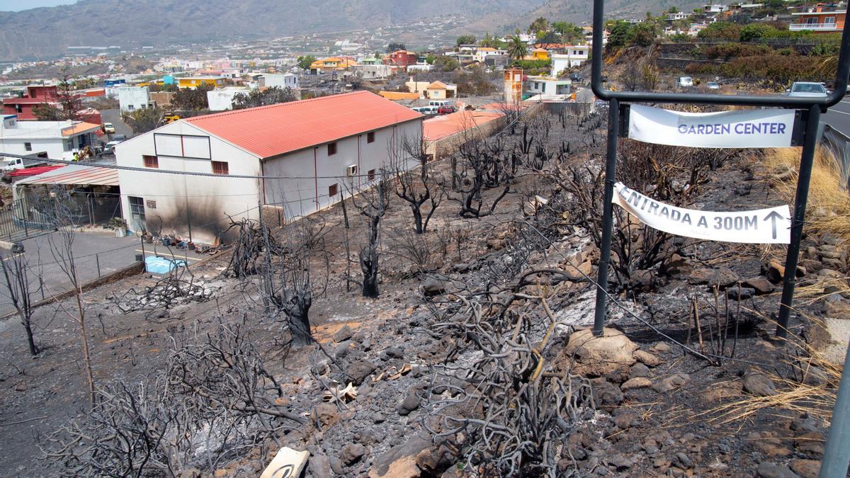 Incendio en La Palma