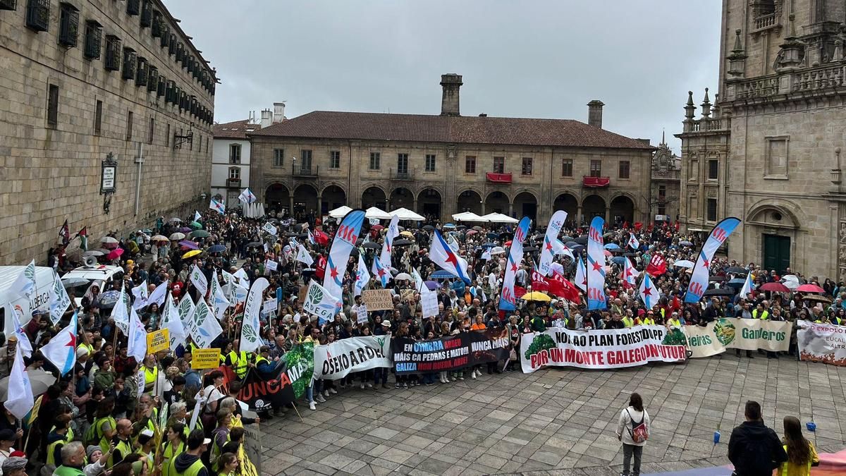 Miles de personas marchan en Santiago contra la gestión de la Xunta de los incendios