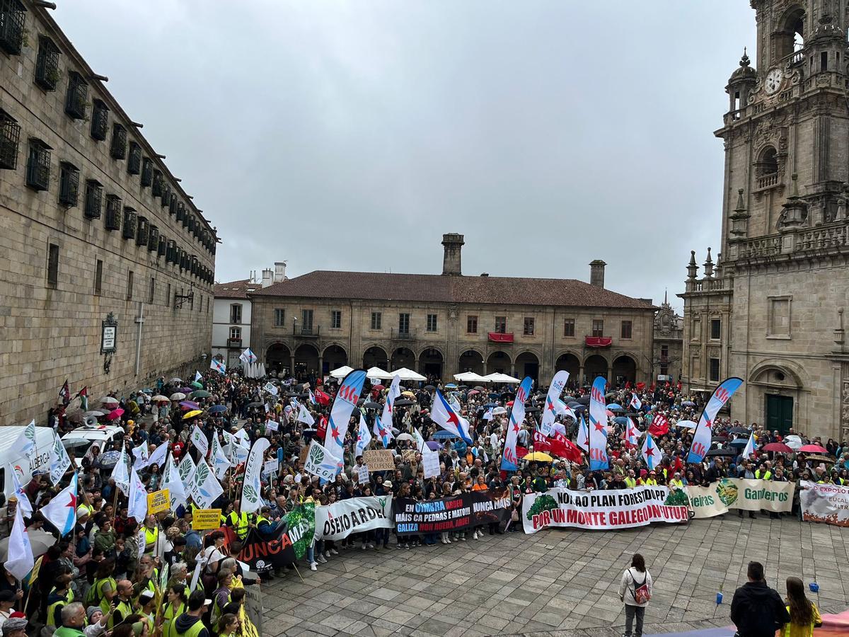 Los manifestantes leyeron un comunicado en la Praza da Quintana para pedir "un monte vivo y con futuro"