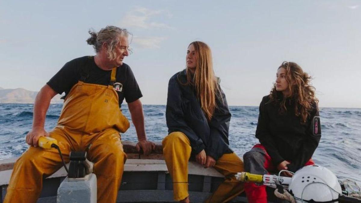 Més d’un miler de gorgònies tornen aquest any al mar de cap de Creus | FOTOS DE ICM