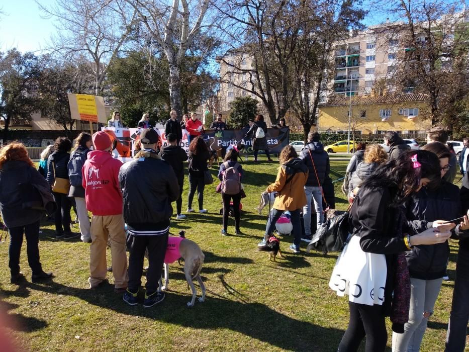 Manifestació contra la caça a Girona