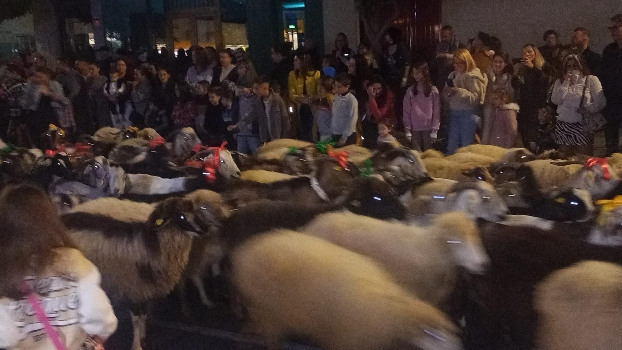 Cabalgata de Reyes en Arucas