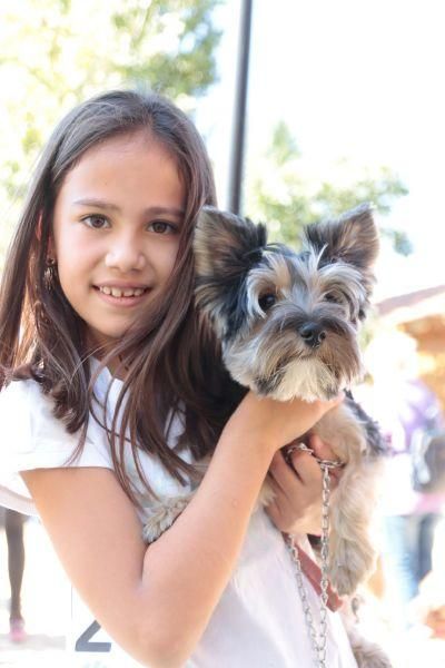 Concurso de perros en La Aldehuela