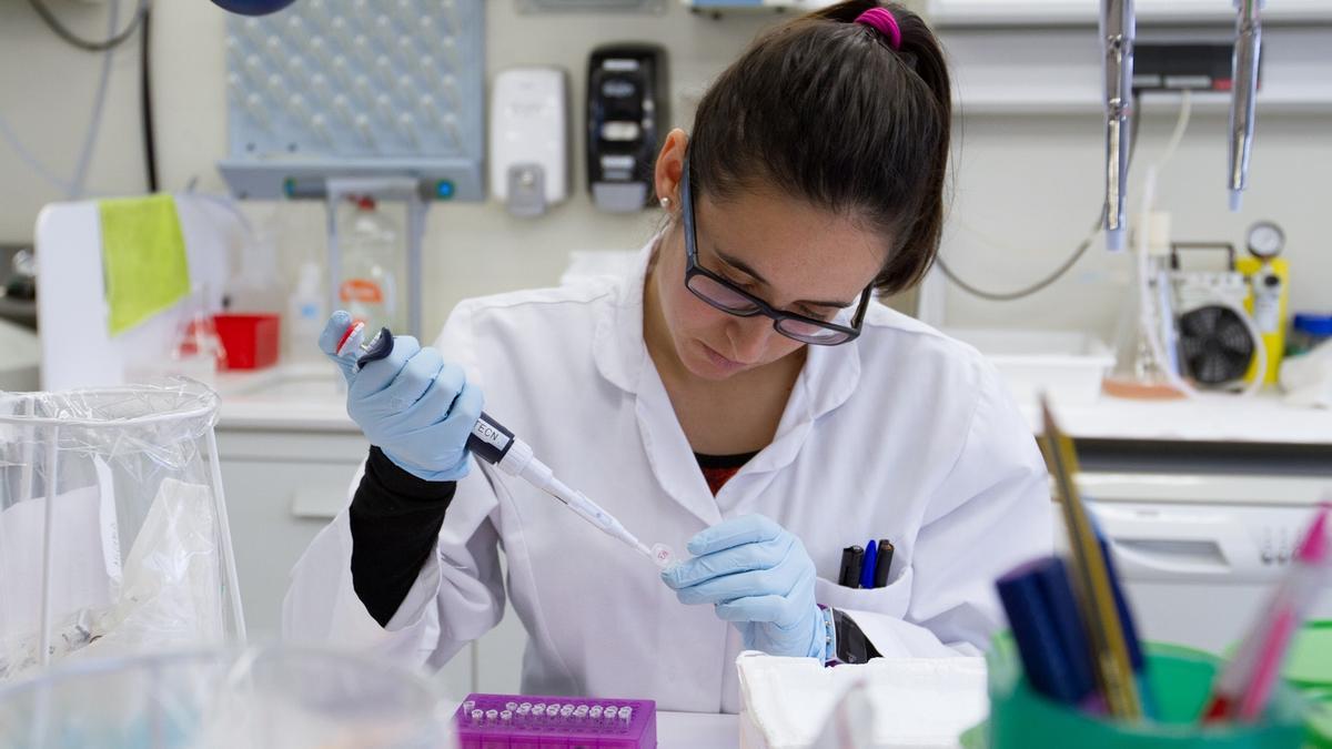 Estudiant de la Facultat de Ciències Biològiques de la Univesitat de València.