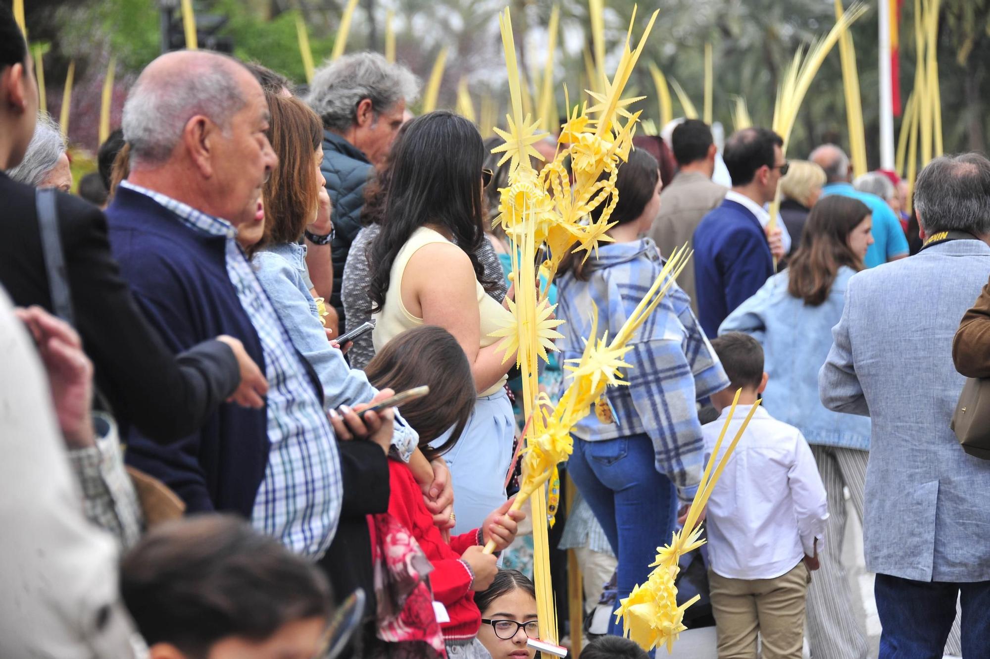 Miles de palmas blancas llenan Elche de tradición