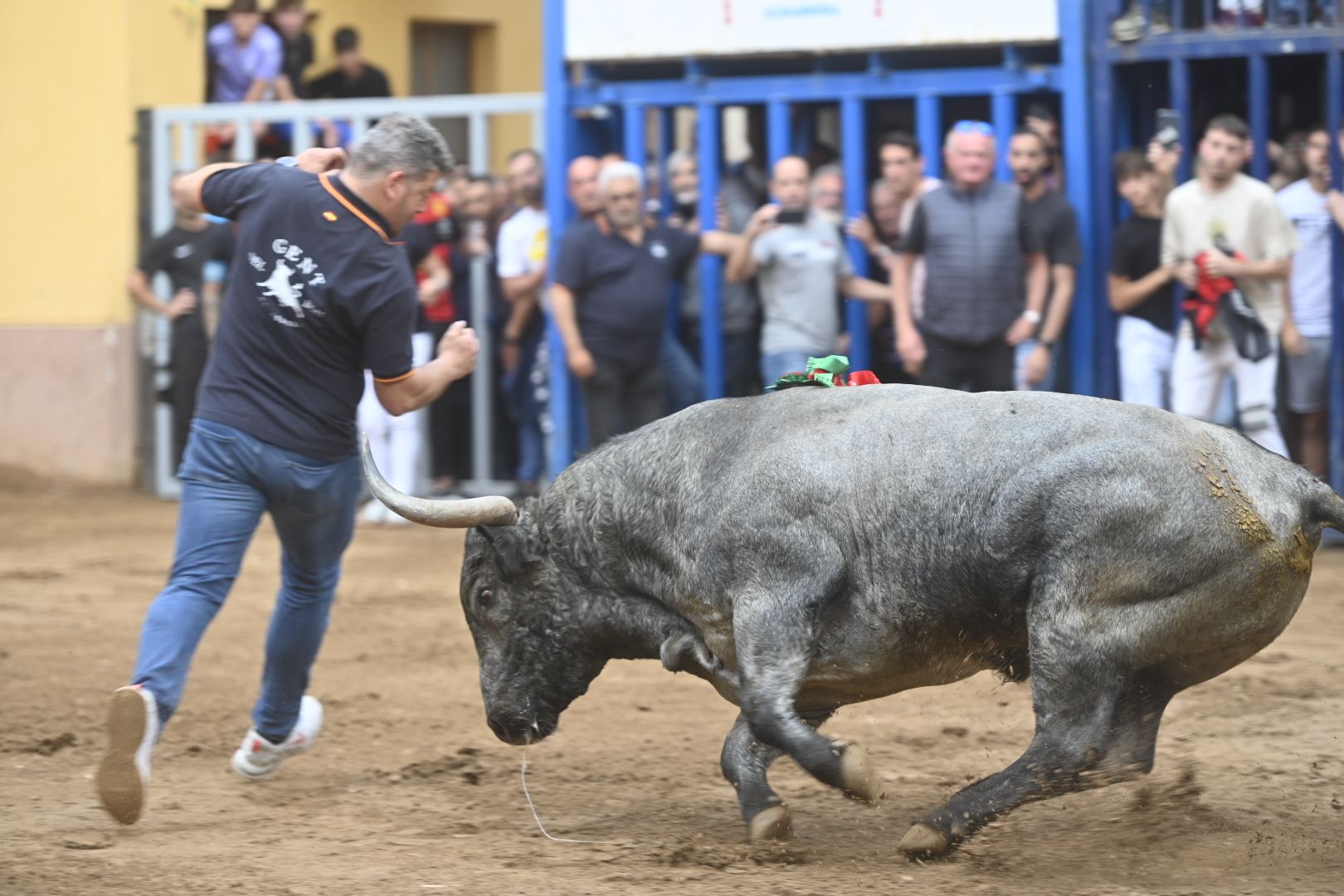 Las mejores fotos del impresionante Adolfo Martín en las fiestas de Almassora