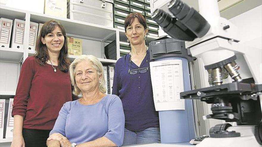 El poder de un grano