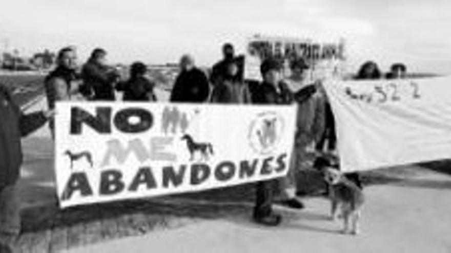 Protesta contra el maltrato animal en el polígono ganadero