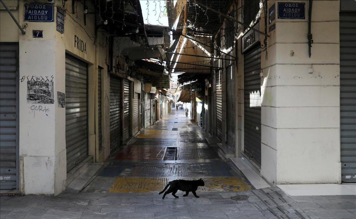 Un gato pasa por una calle comercial, con las tiendas cerradas, en Atenas.