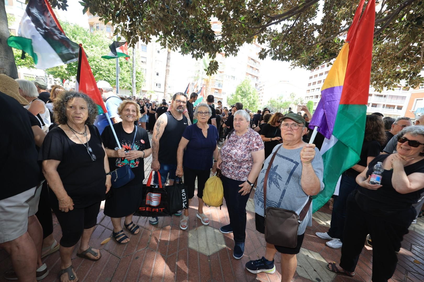 Manifestación a favor del pueblo palestino y la paz en Castellón