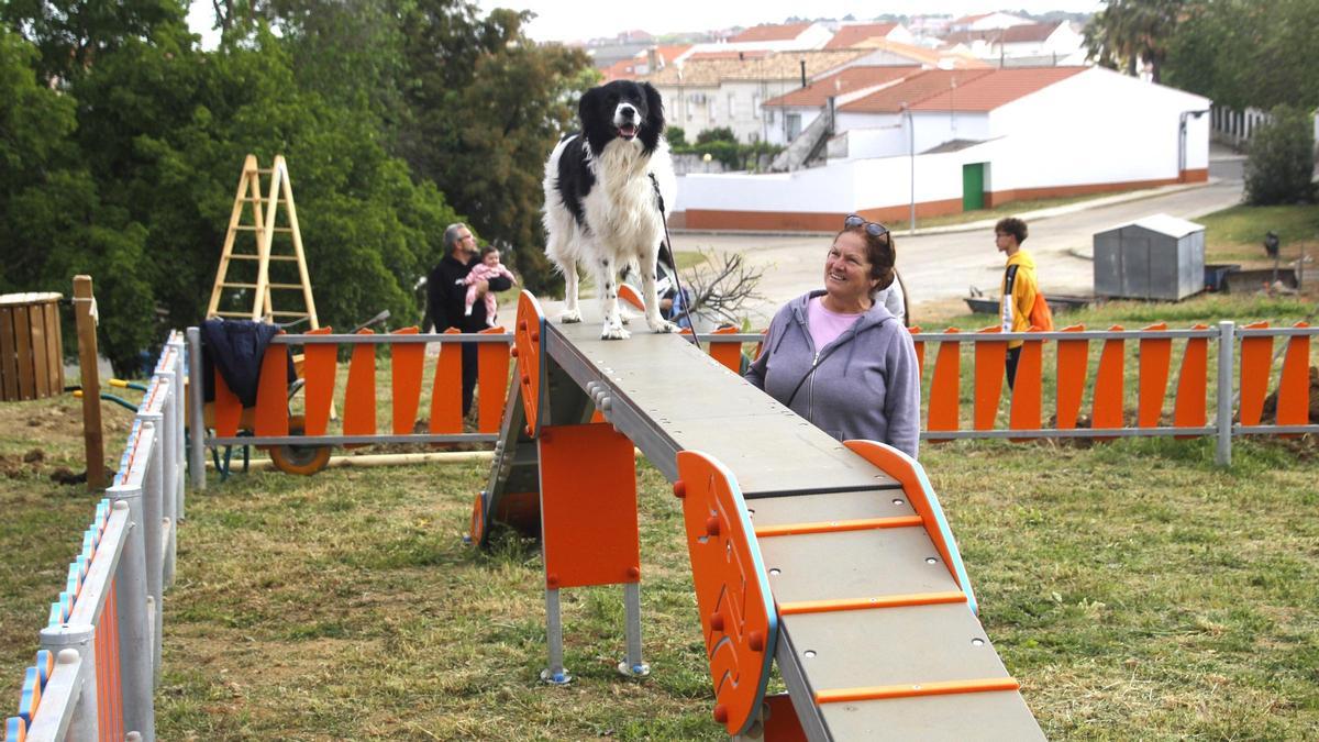 Circuito Agility para perros construido en Monesterio con fondos Leader